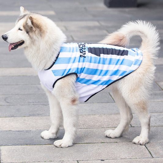 pet-small-medium-large-dogs-fadou-cat-teddy-golden-hair-samo-dog-clos-vest-luxury-view-2 | Majestic Pet Kingdom