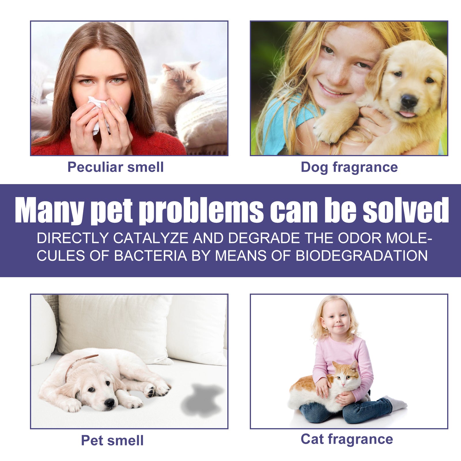 Pet Deodorant Spray: Odor Eliminator for Dog & Cat Urine