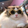 Luxury Pet Essentials - Purrfect Pet Kingdom™