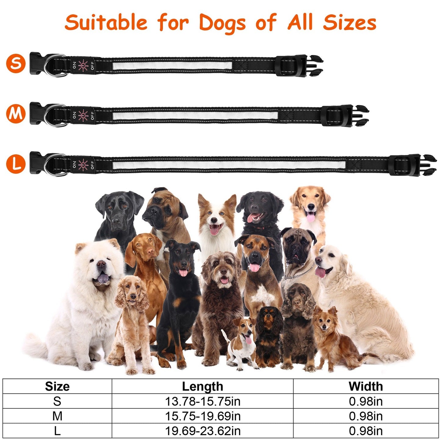 Dog Collar LED Glowing Light-Up 9-Color IPX7 Waterproof Strap - Detail Angle 6 | Majestic Pet Kingdom