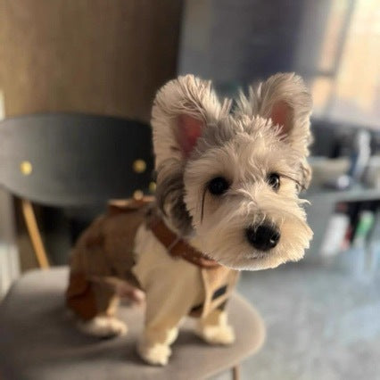 Pet Product - Premium Pet Accessory