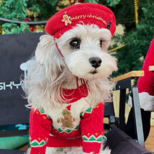 Christmas-style Hat For Pets | Purrfect Pet Kingdom
