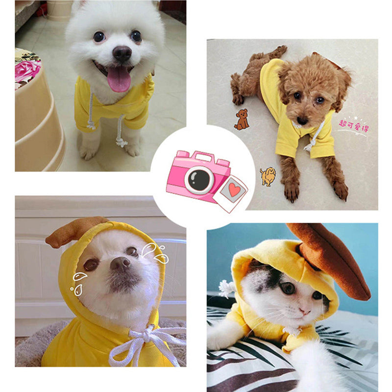 Pet Product - Premium Pet Accessory