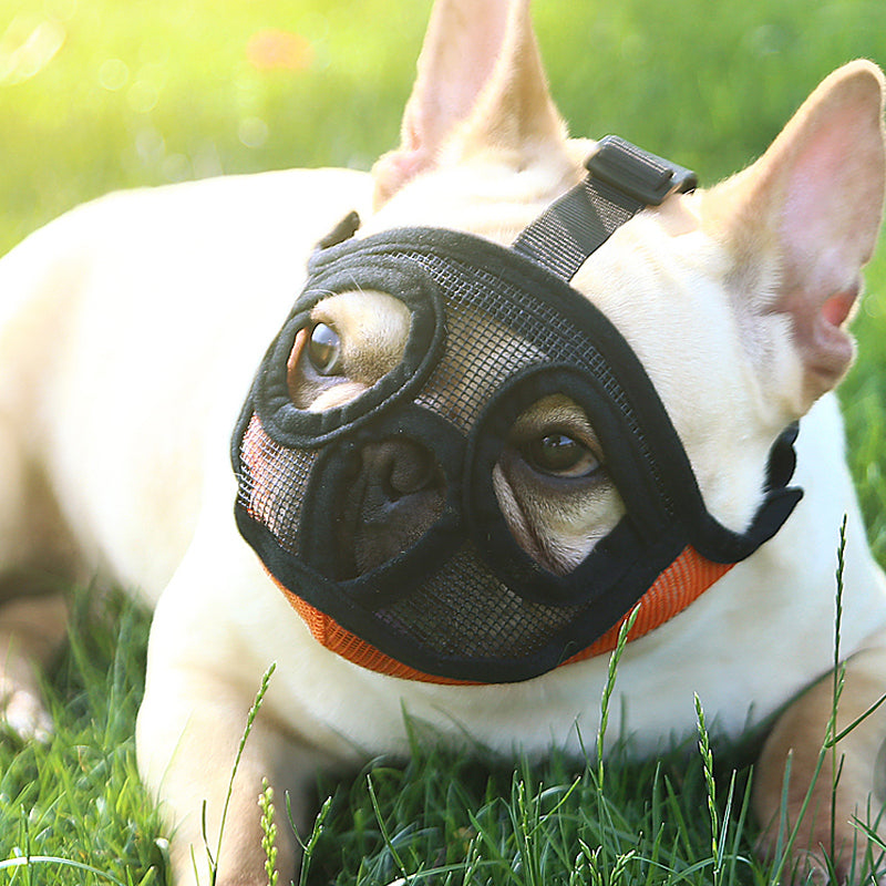 Hoopet Pet Small Dog French Bulldog Muzzle Dog Mouse Basket Breathable | Majestic Pet Kingdom™