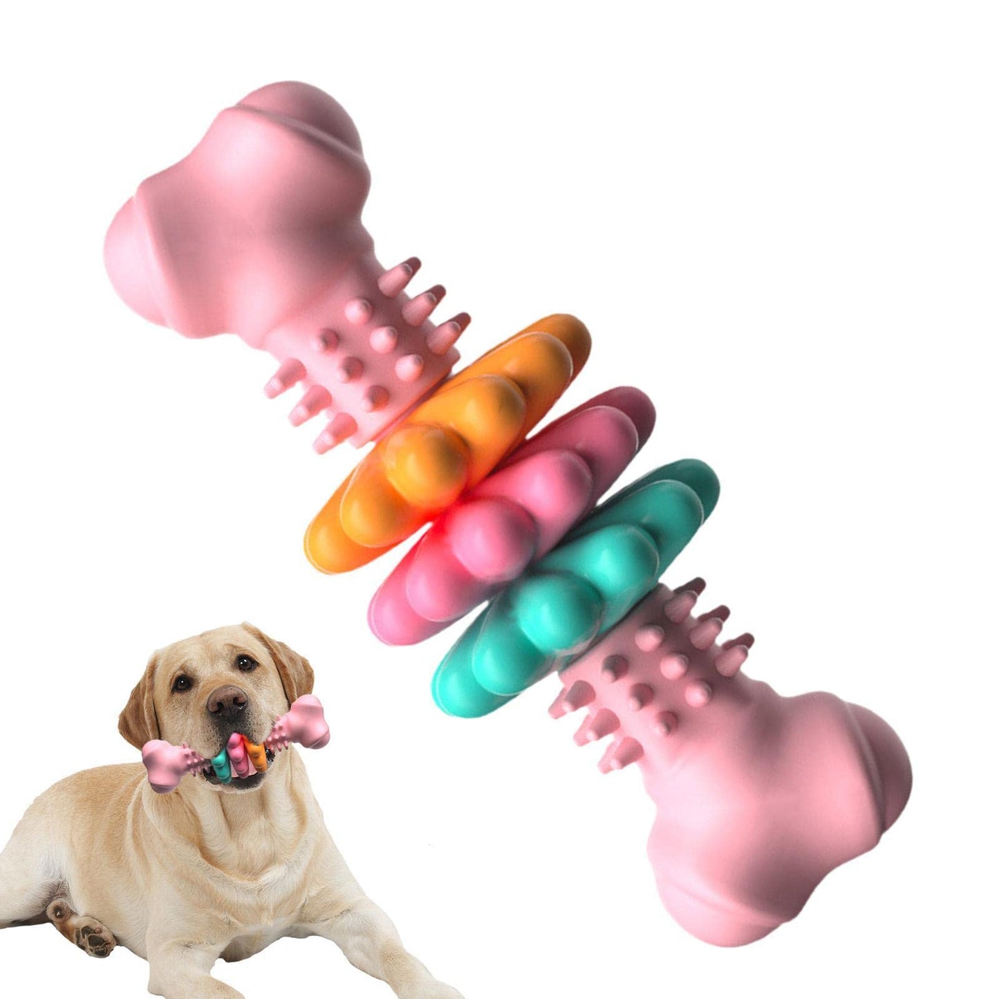 Dog Chew Toy TPR Rubber Bone Indestructible Dental Teething Play - Detail Angle 2 | Majestic Pet Kingdom