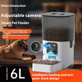 PET Intelligence Feeder Wide Angle