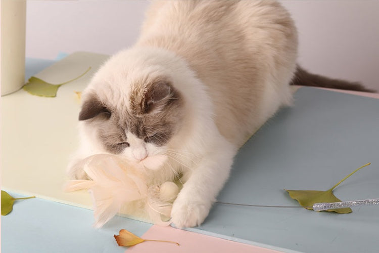 Pet Bell Feather Cat Stick