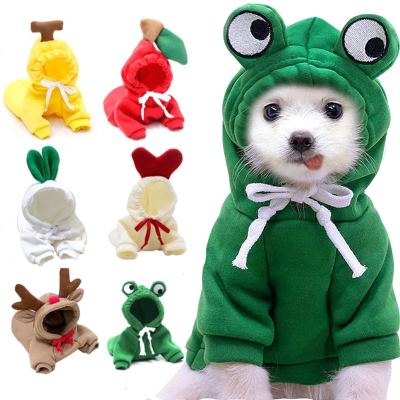 Pet Product - Premium Pet Accessory