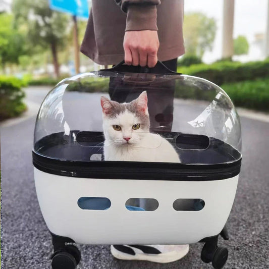 new-transparent-capsule-pet-travel-trolley-carriers-bag-stroller-10kg-puppies-dogs-cat-with-wheel-luxury-view-2 | Majestic Pet Kingdom