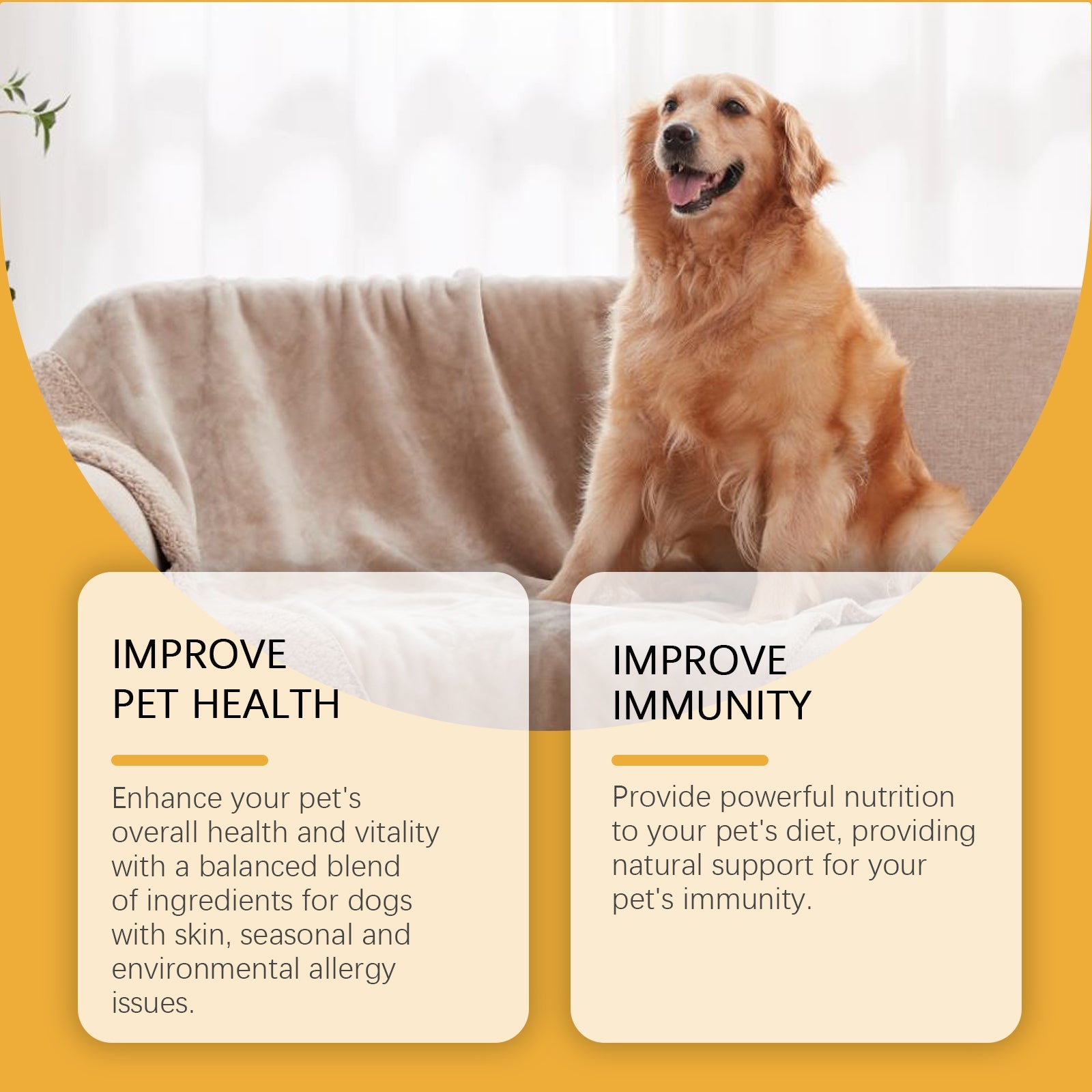 Dog Body Relief Drops: Nutritional Health & Care Supplement - Majestic Pet Kingdom