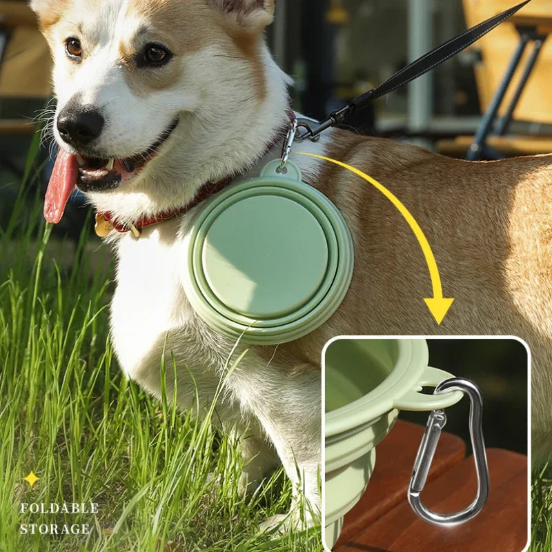 Foldable Travel Bowl: Silicone Pet Food Container - Majestic Pet Kingdom