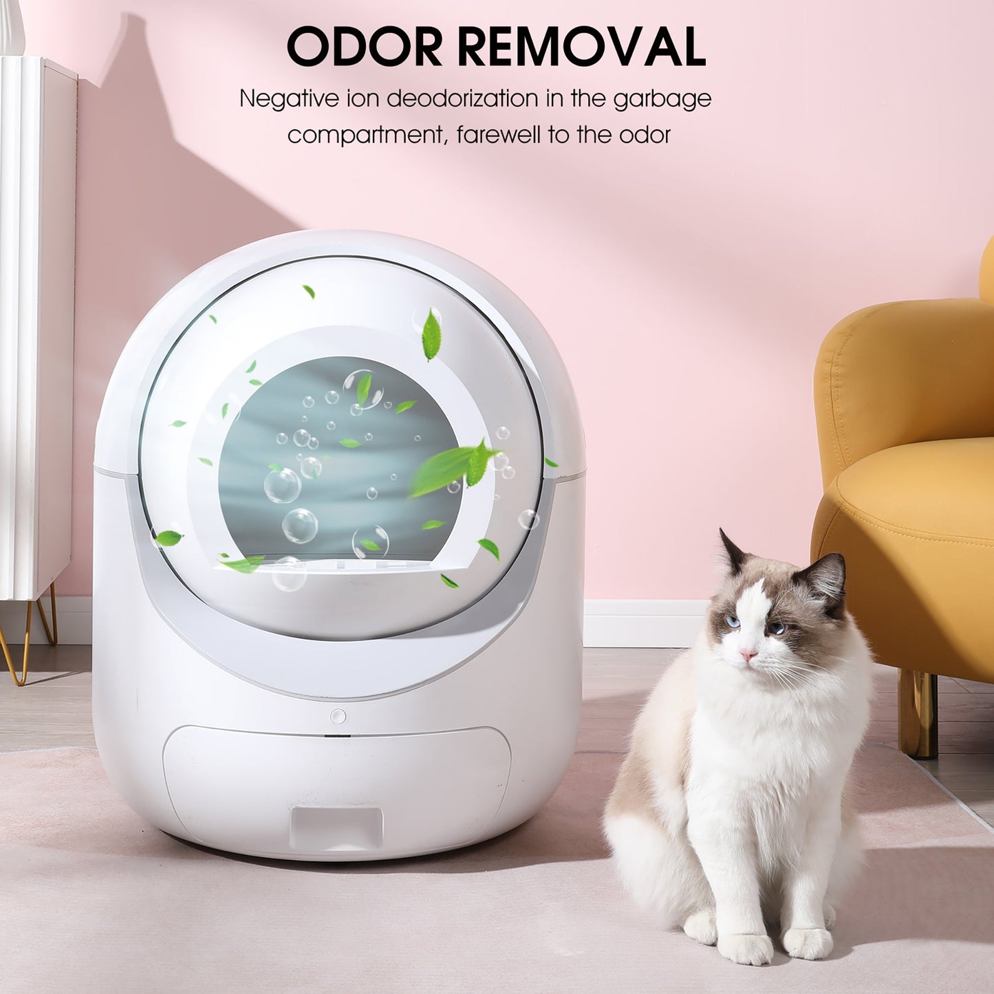 Smart Automatic Cat Litter Box - 5G WiFi & Multi-Cat