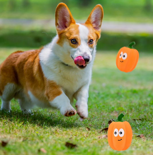 Pet Toy Latex Sound-emitting Pumpkin Realistic Cartoon Pumpkin Durable Dog Toy - Detail Angle 2 | Majestic Pet Kingdom