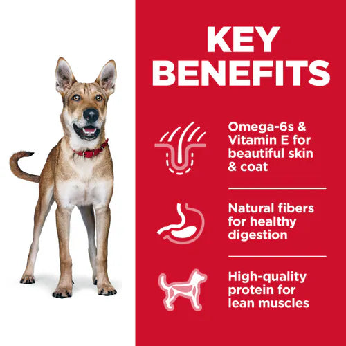 Dog Food Hills Science Diet Adult Chicken Barley Dry Kibble