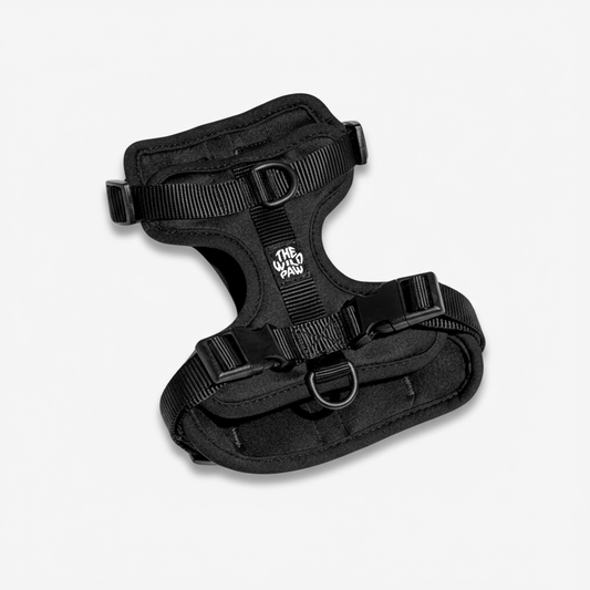 AdventurePro Harness - Majestic Pet Kingdom