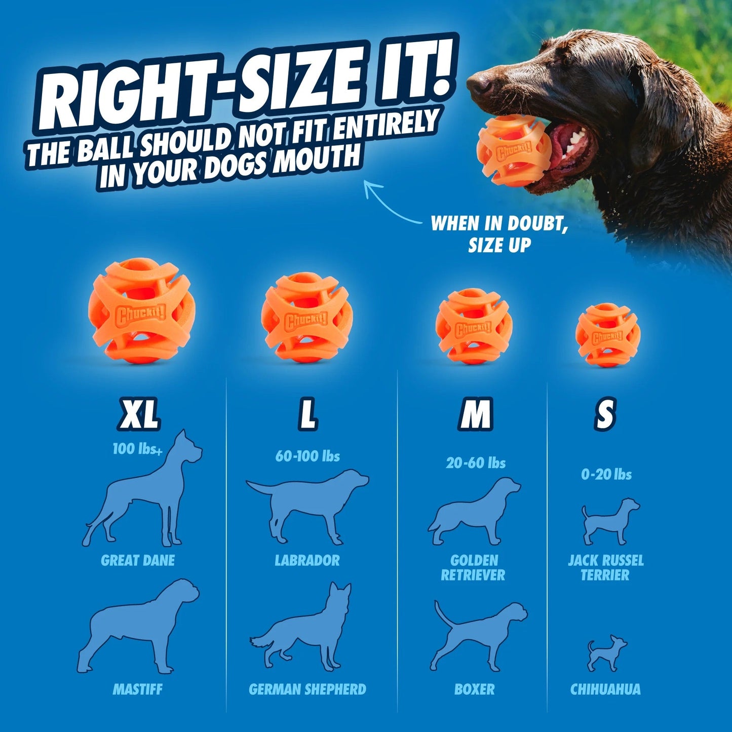 Dog Toy Ball Mental - Durable Boredom Enrichment