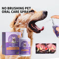 Dog & Cat Tooth Cleaning Spray: Pet Mouth Deodorizing Spray