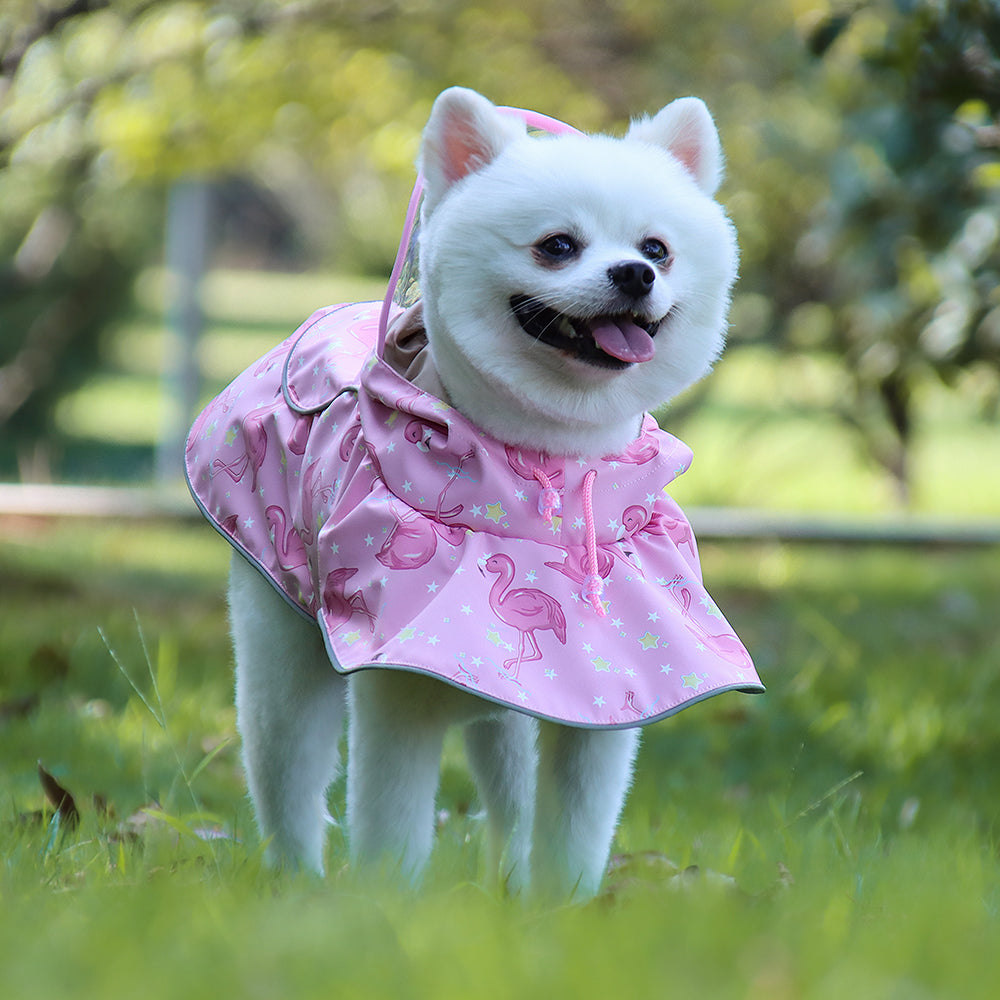 Dog Raincoat Transparent PU Leather Reflective Waterproof Cape - Detail Angle 6 | Majestic Pet Kingdom