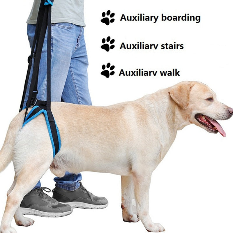 Adjustable Pet Support Sling Lift Harness for Dog Back Legs