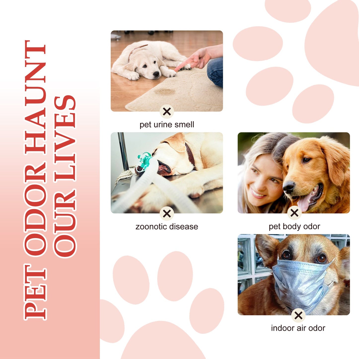 Pet Deodorant Spray: Indoor Cat & Dog Air Refreshing Spray | Purrfect Pet Kingdom