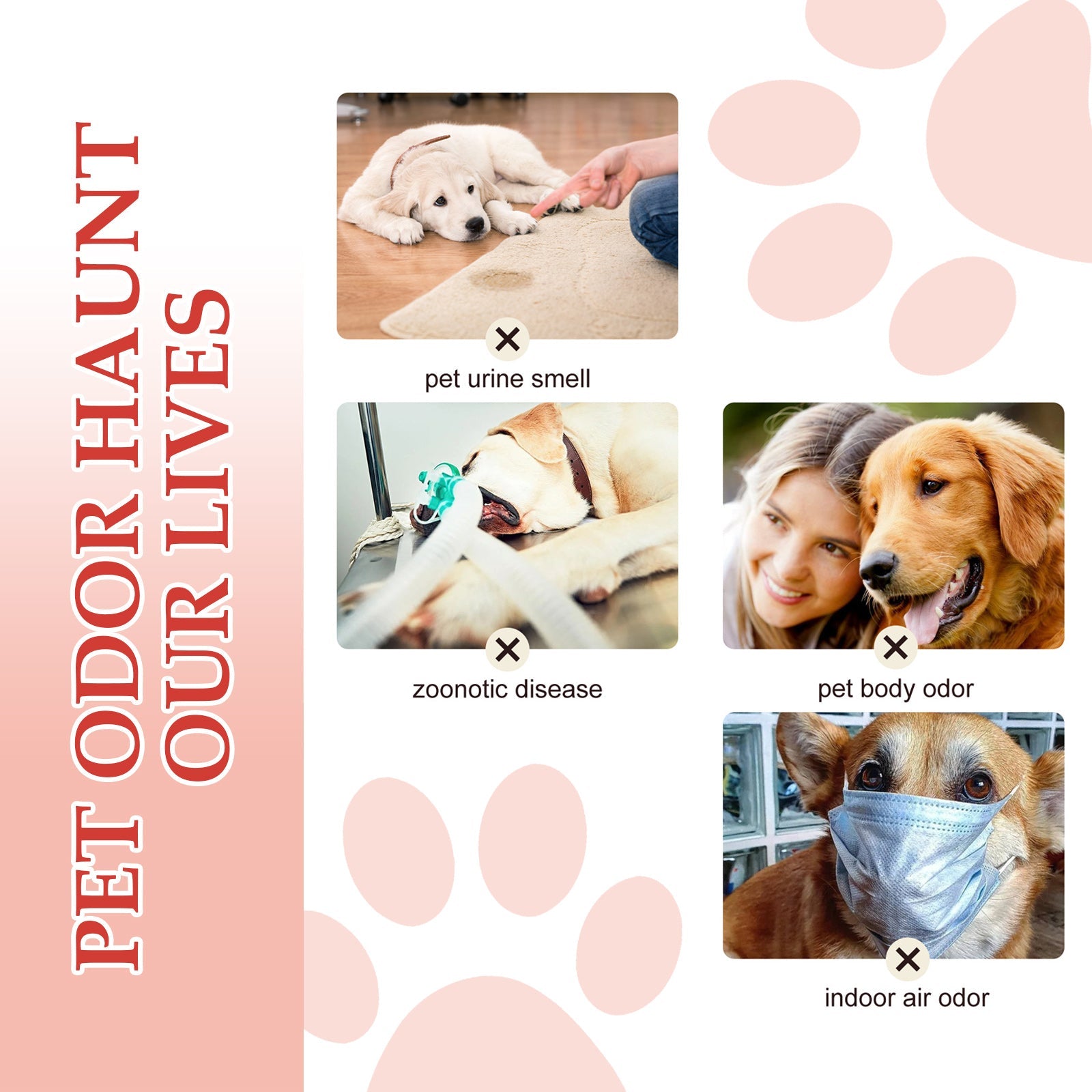 Pet Deodorant Spray: Indoor Cat & Dog Air Refreshing Spray
