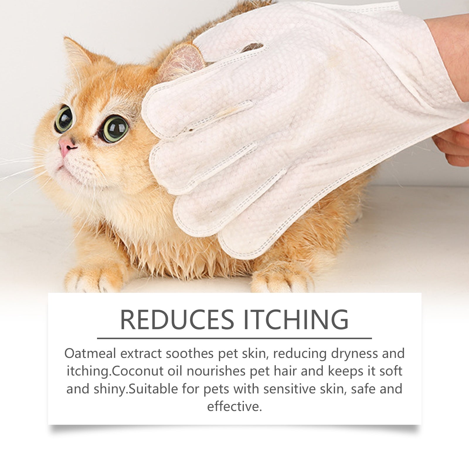 Pet Grooming Wipes: Disposable Hair & Skin Gloves