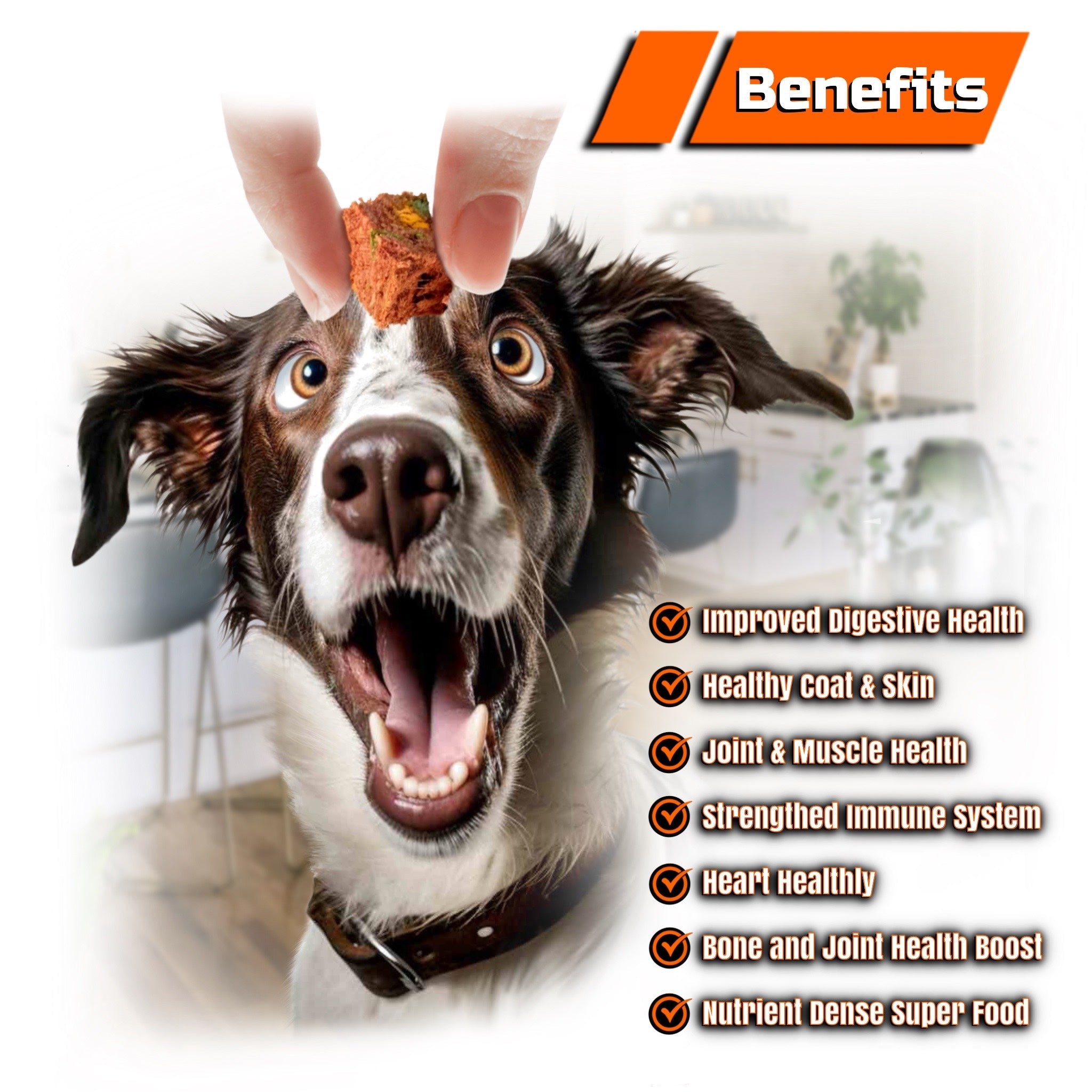 Luxury Pet Essentials - Purrfect Pet Kingdom™
