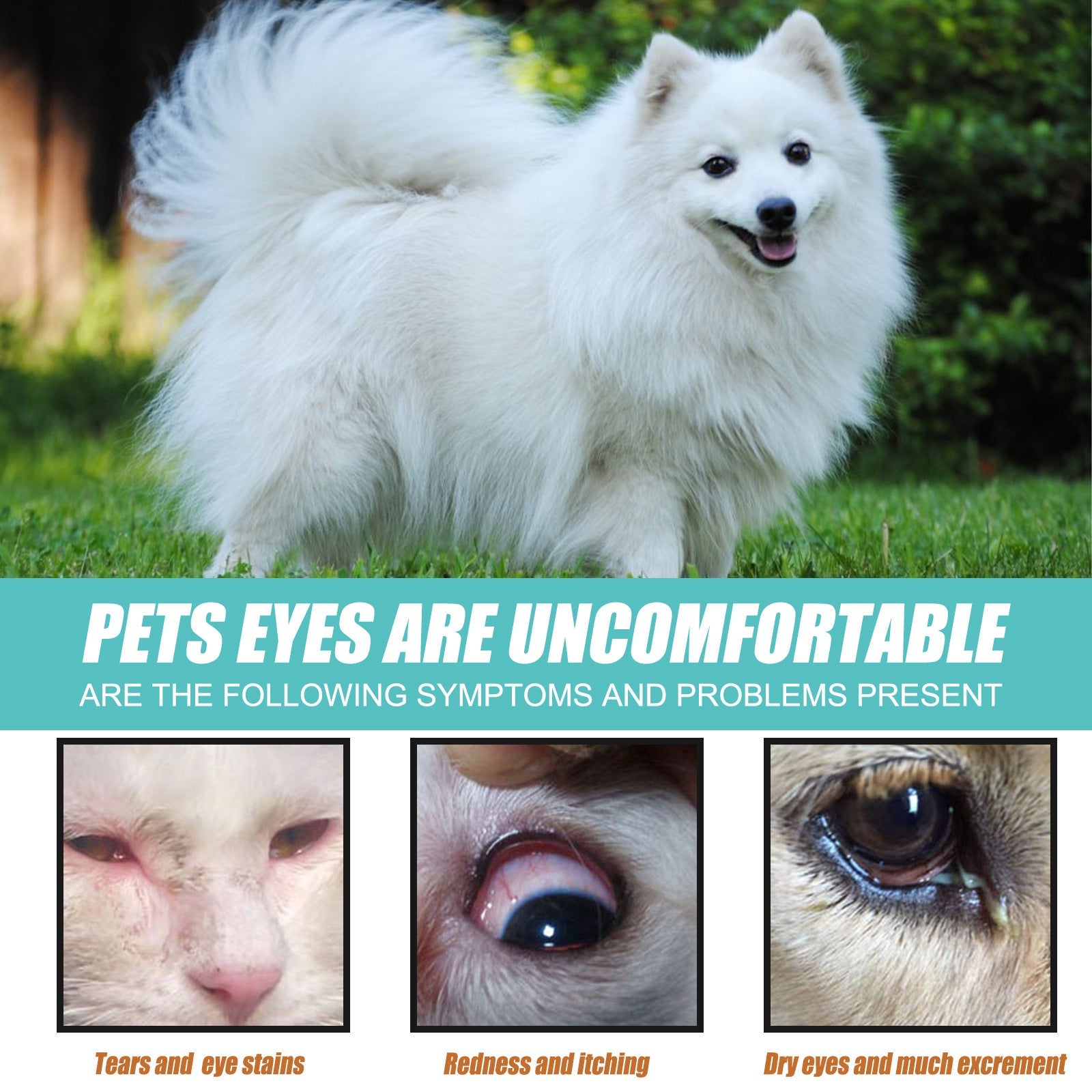 Tear Stain Remover Serum for Dogs & Cats: Topical Eye Care