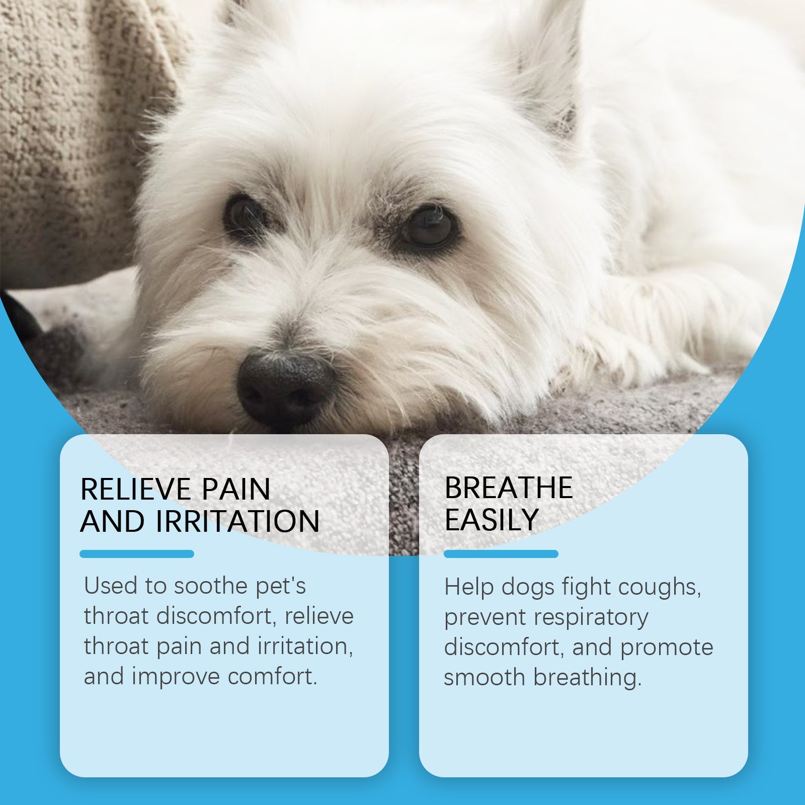 Dog Health Supplement: Vitality Maintenance Syrup