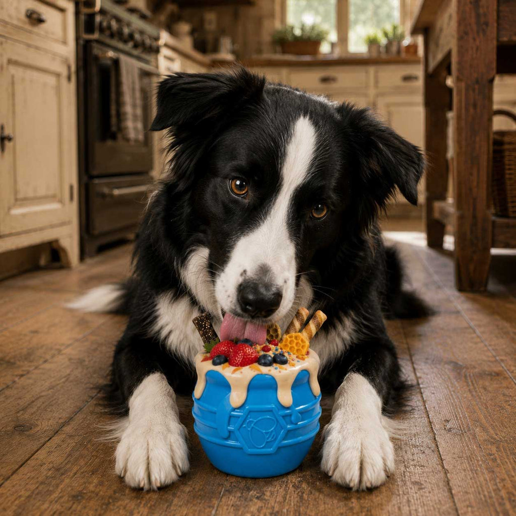 Pet Supply Product | The Finest Market