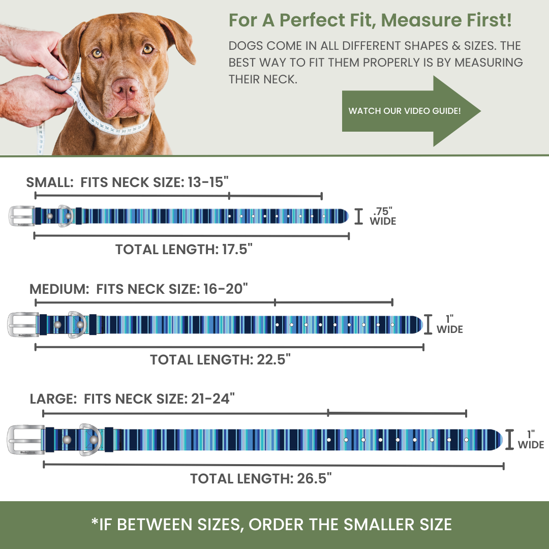 Dog Collar Waterproof Odor-Proof Heavy Duty Cleanable Neck Strap - Detail Angle 5 | Majestic Pet Kingdom