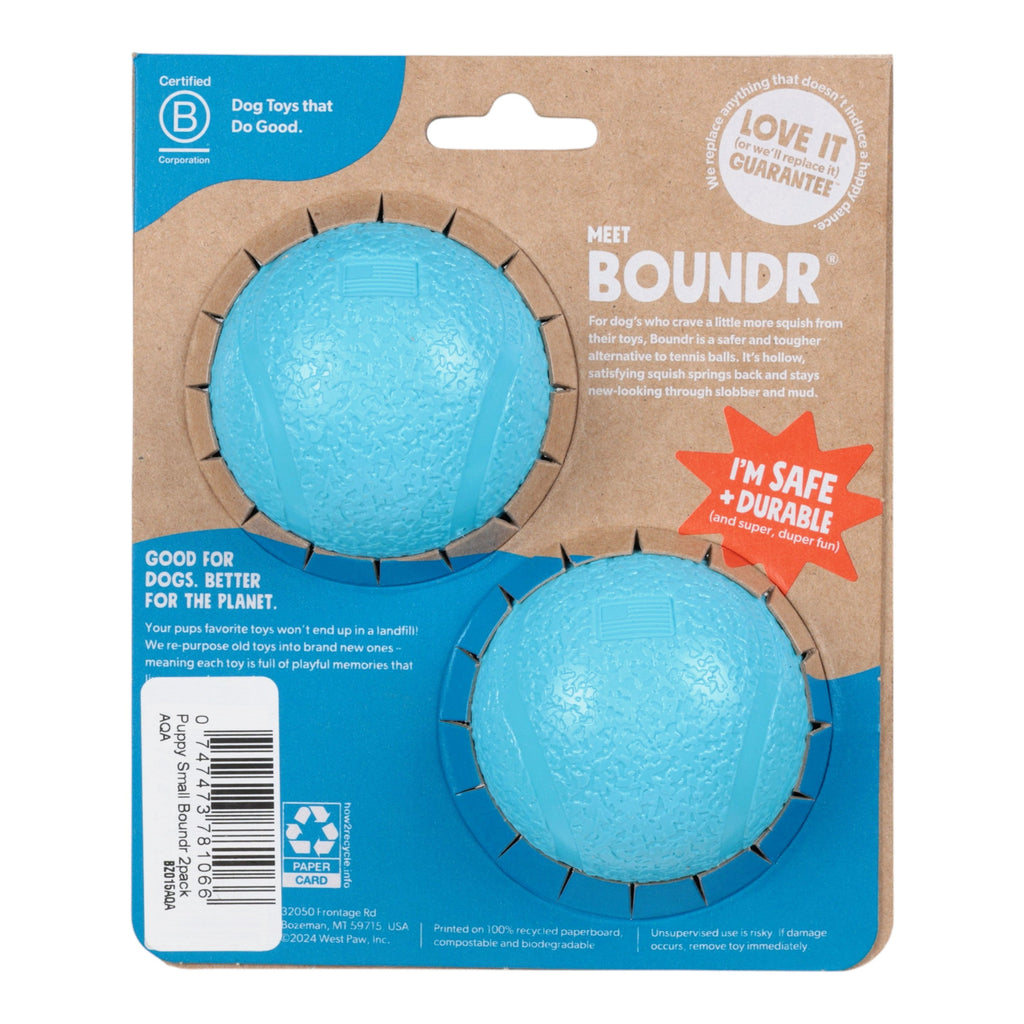 Boundr Small Dog Ball 2-Pack Aqua | Fetch & Chew Toy