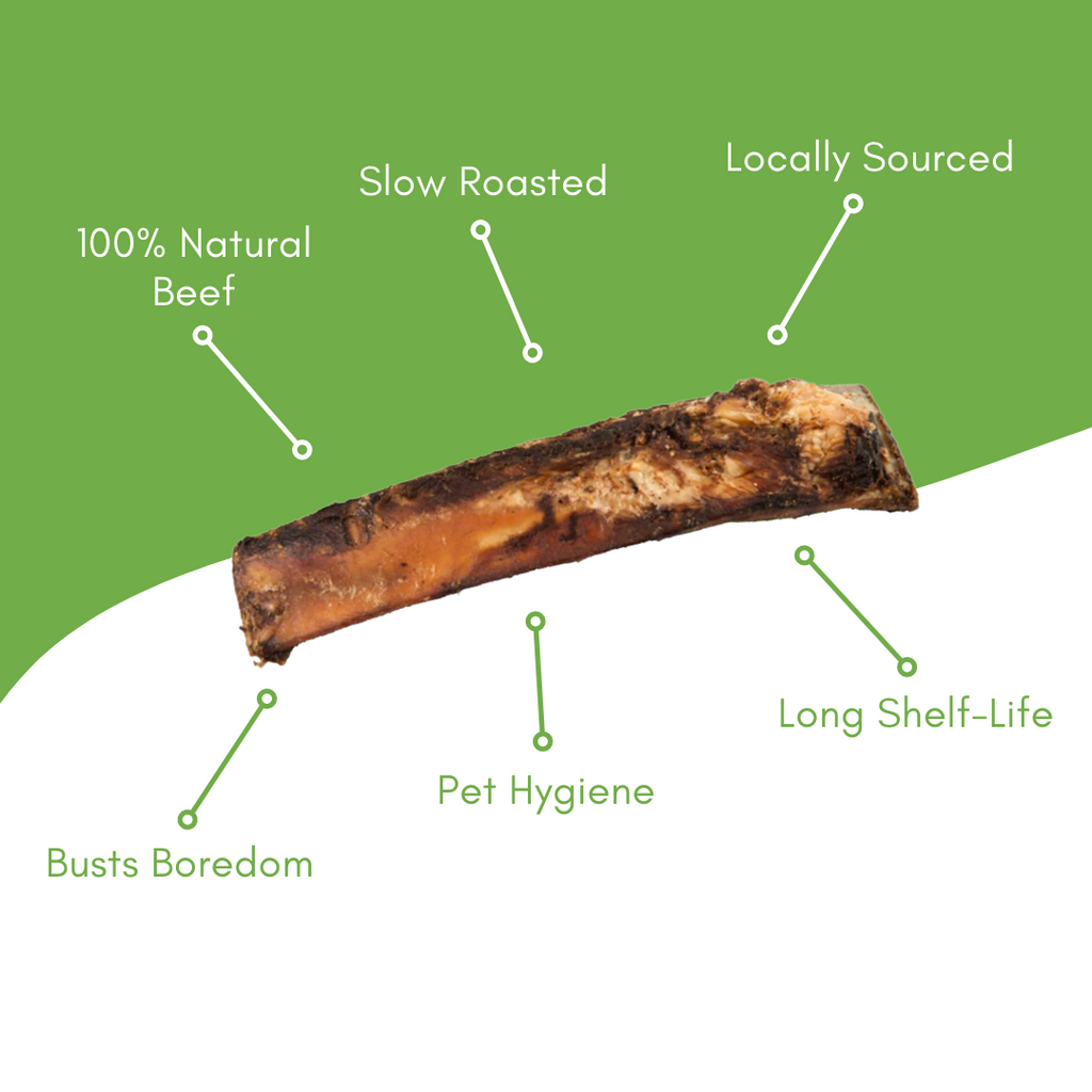 6″ Beef Rib Bone