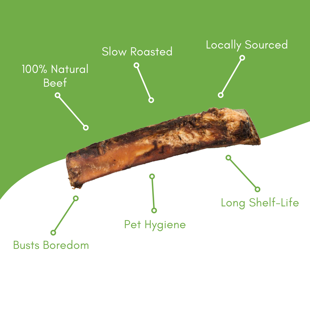 6″ Beef Rib Bone