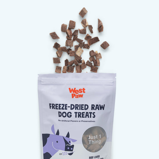 Dog Treats Beef Liver Freeze-Dried Single-Ingredient 4oz Bag