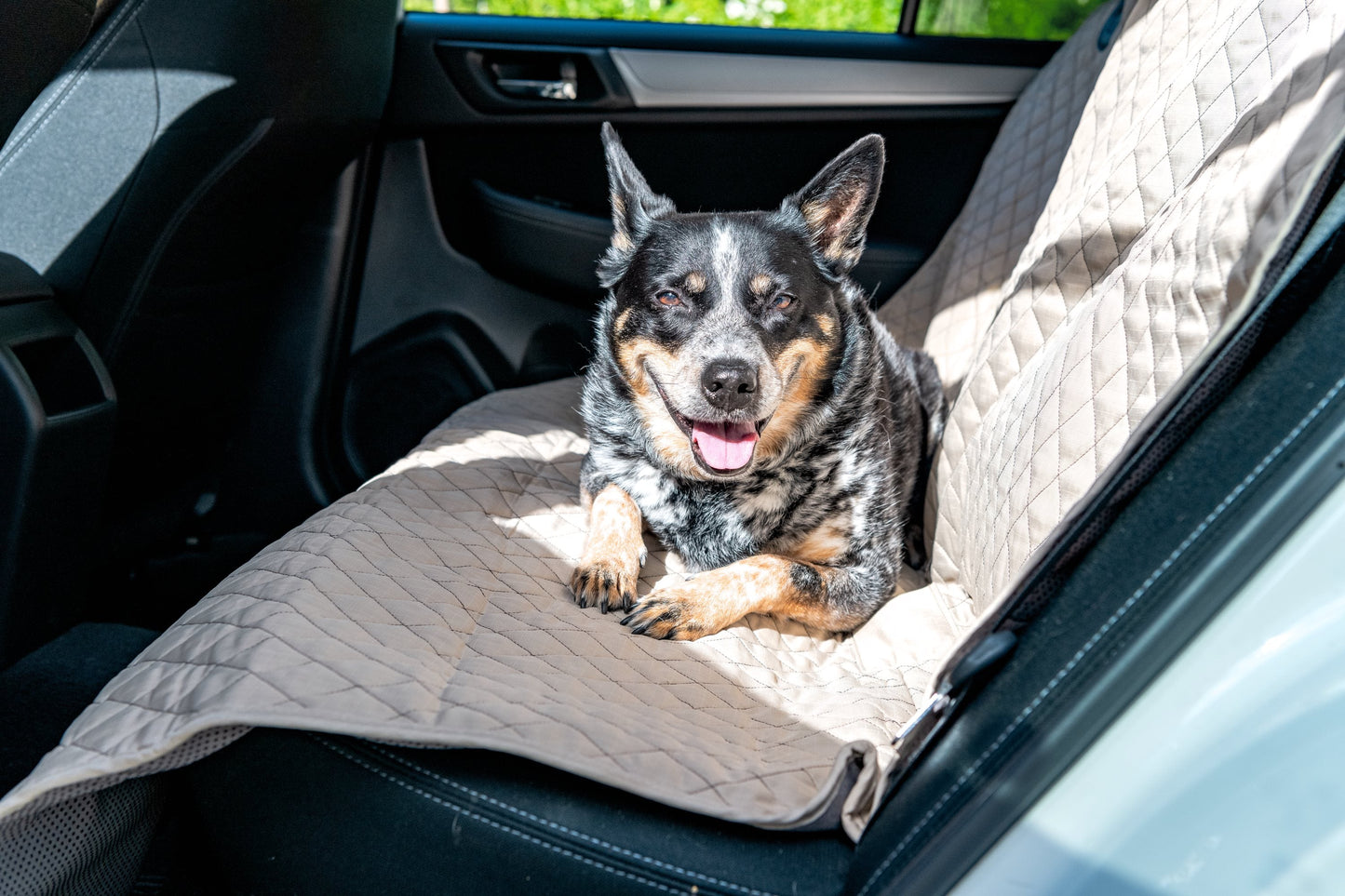 Dog Car Seat Cover TuffutLuxx Vehicle Travel Protector Mat