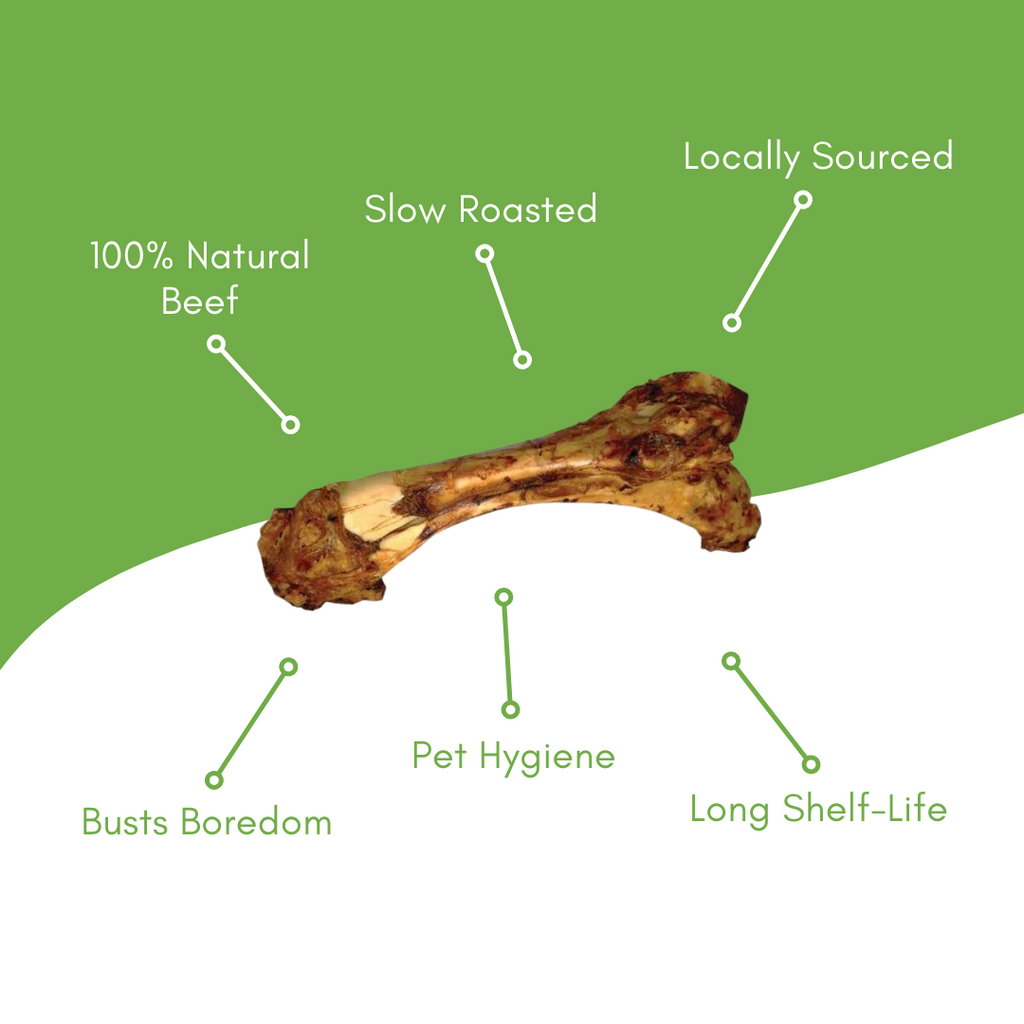 Dino Beef Bone