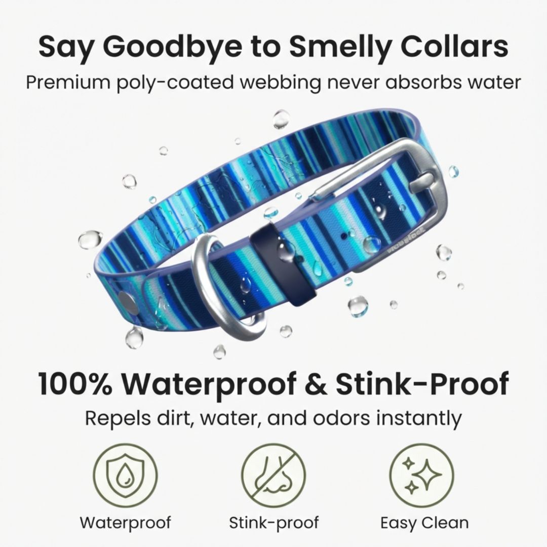 Dog Collar Waterproof Odor-Proof Heavy Duty Cleanable Neck Strap - Detail Angle 2 | Majestic Pet Kingdom