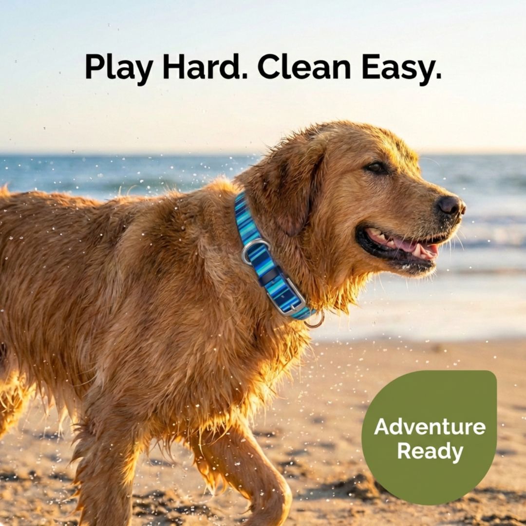 Dog Collar Waterproof Odor-Proof Heavy Duty Cleanable Neck Strap - Detail Angle 4 | Majestic Pet Kingdom