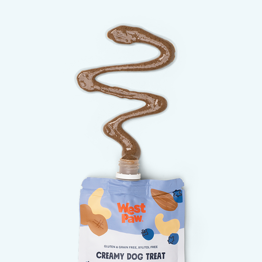 Nut Butter, Blueberry, and Chia Seed - Detail Angle 2 | Majestic Pet Kingdom