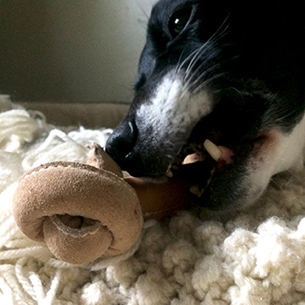 Pet Supply Product | The Finest Market