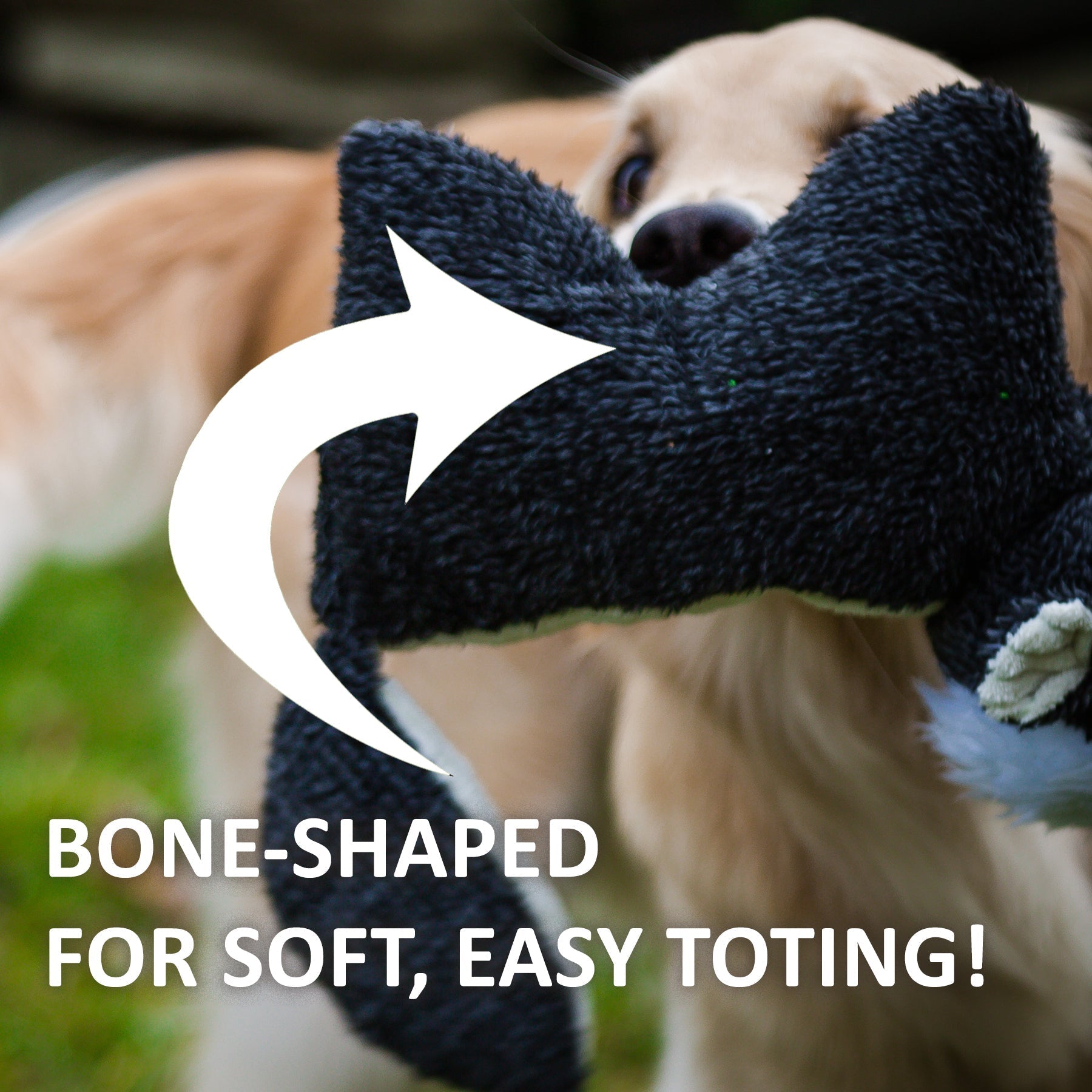 Pet Supply Product | The Finest Market