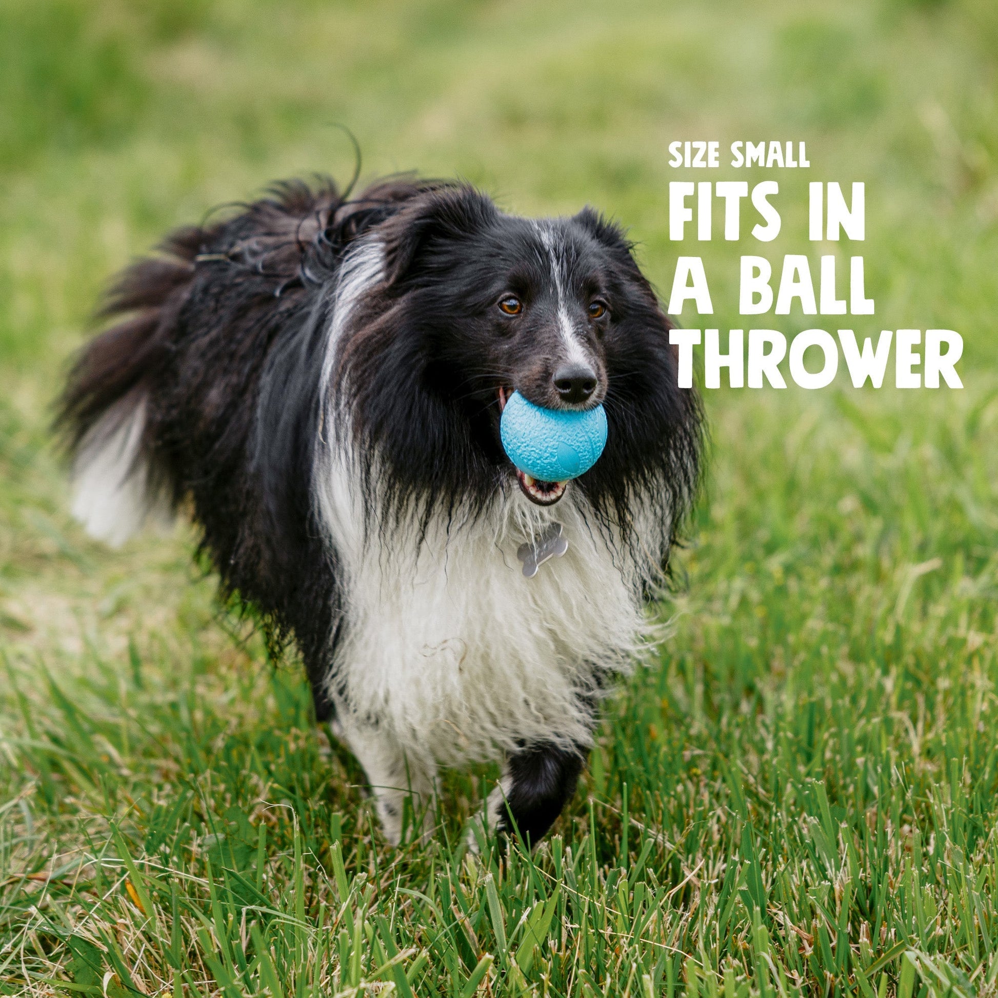 Dog Ball Toy Boundr Fetch and Chew Rubber Ball Tough Chewers - Detail Angle 2 | Majestic Pet Kingdom