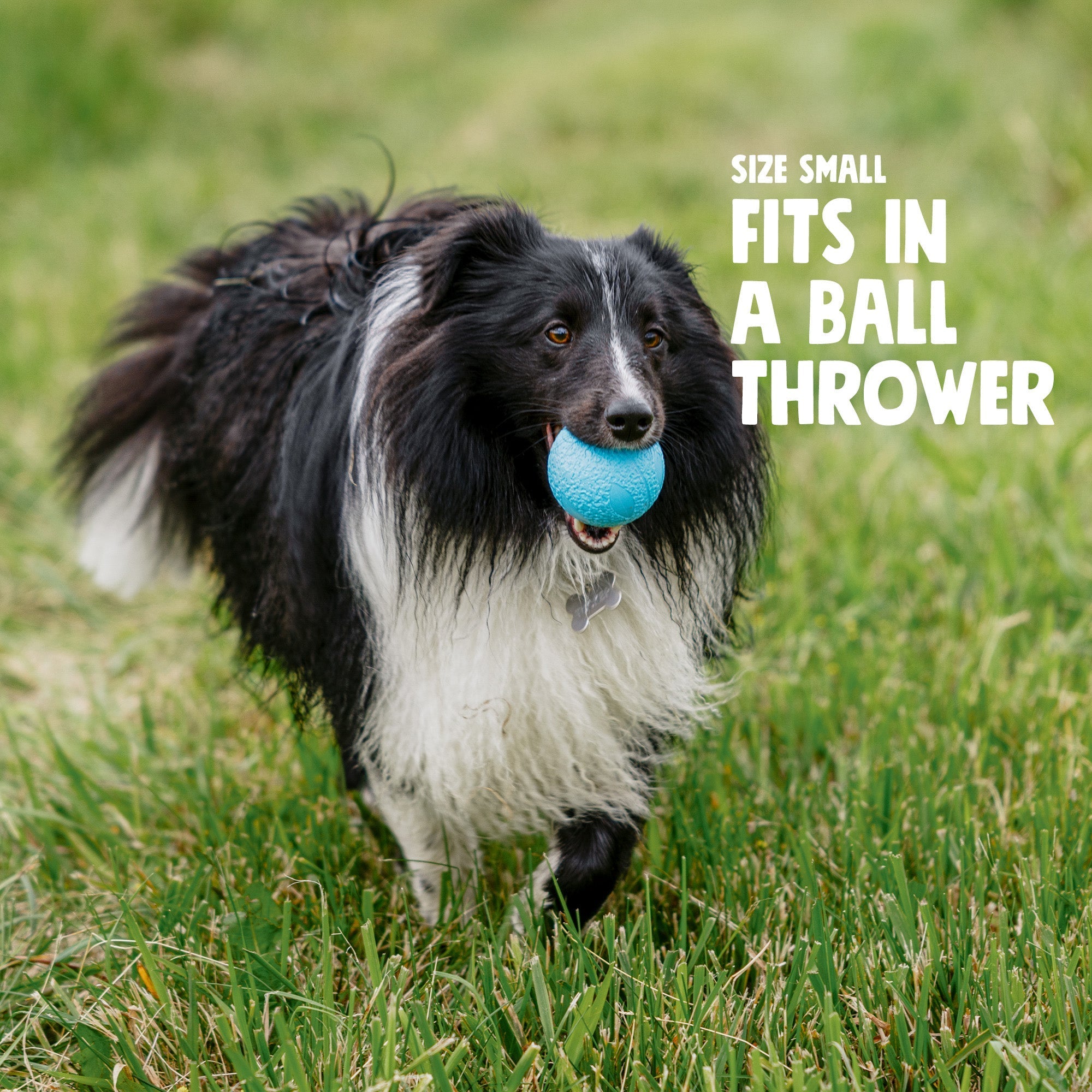 Boundr Fetch Chew Ball Dog Toy for Tough Chewers