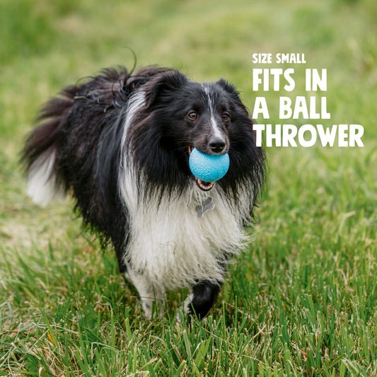 Dog Ball Toy Boundr Fetch and Chew Rubber Ball Tough Chewers