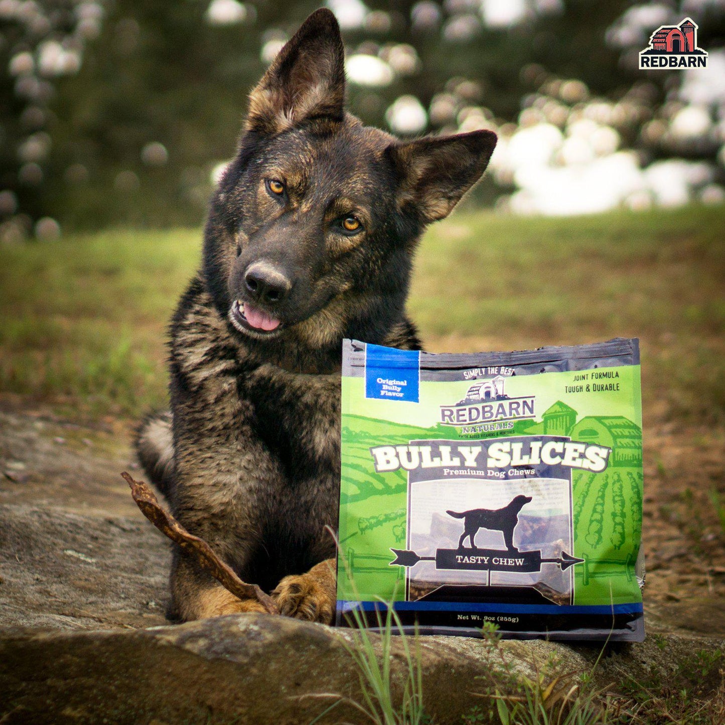 Dog Chews Redbarn Bully Slices Natural Beef Coated Chews 9oz