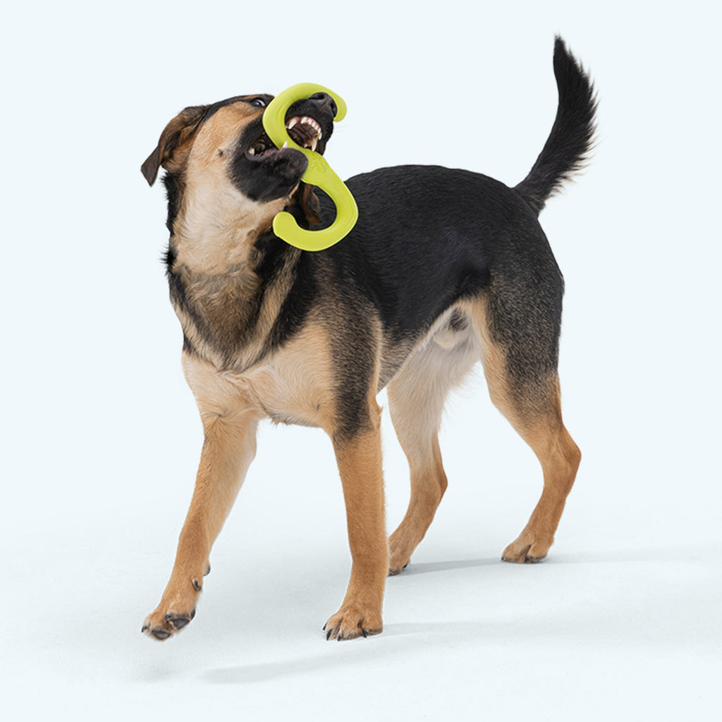 Bumi Ruby Stretchy Tug Dog Toy for Gentle Chewers