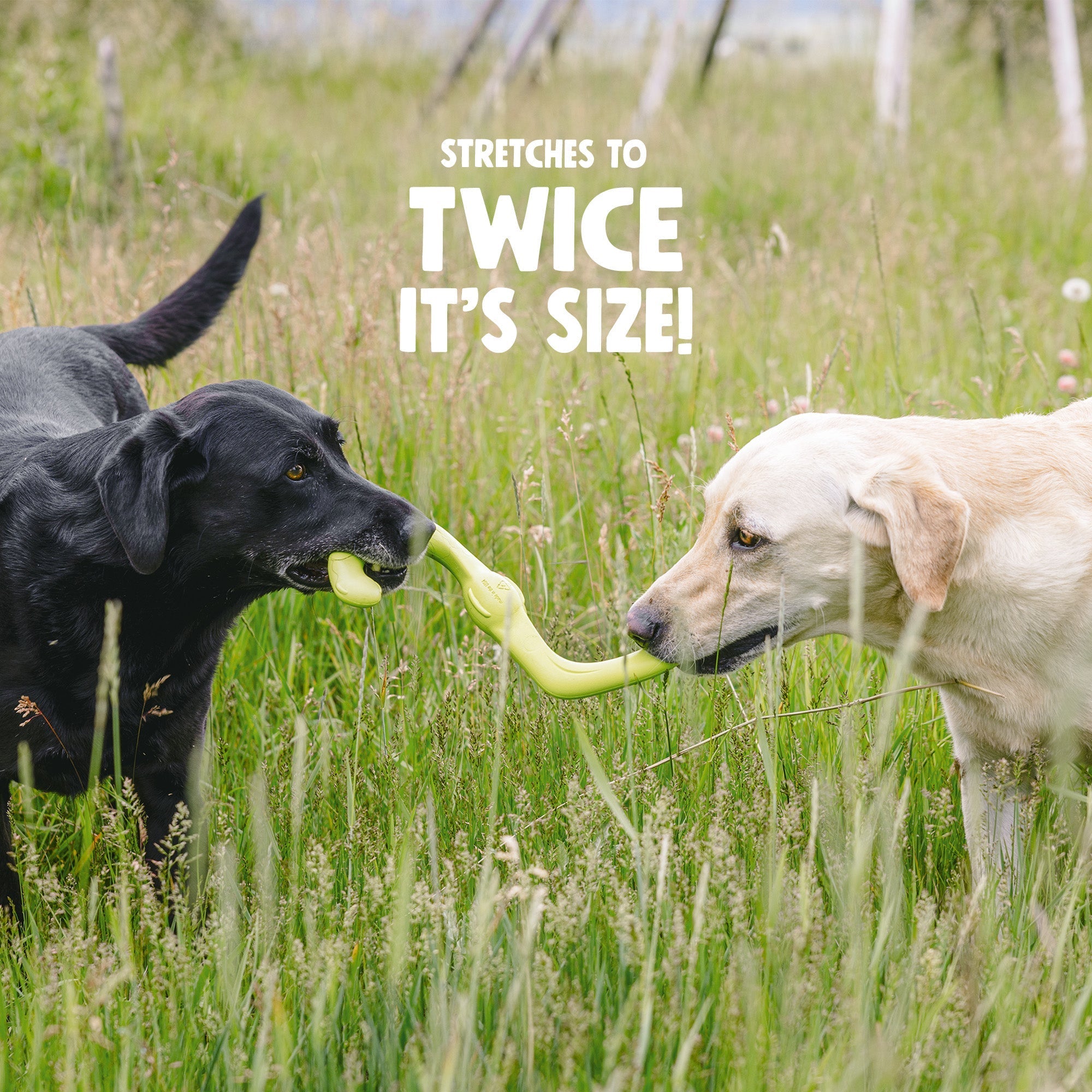 Bumi Stretchy S-Shape Tug Dog Toy for Gentle Chewers