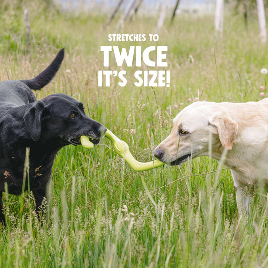Bumi Stretchy S-Shape Tug Dog Toy for Gentle Chewers