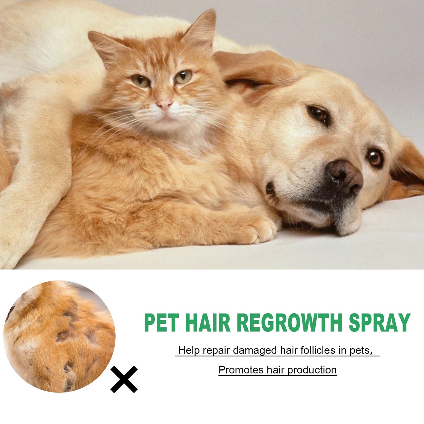 Pet Coat Growth Spray Follicle Repair Anti-Shedding Mist 4oz - Detail Angle 3 | Majestic Pet Kingdom